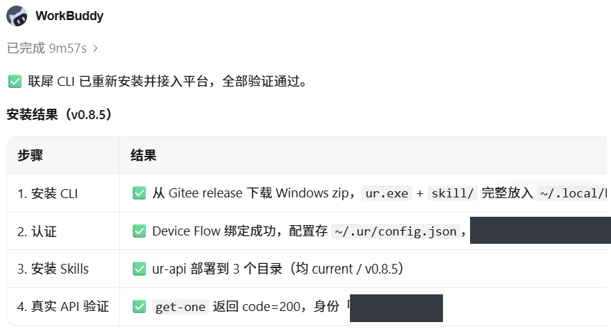 WorkBuddy 返回 CLI 安装、认证、Skills 和接口校验结果